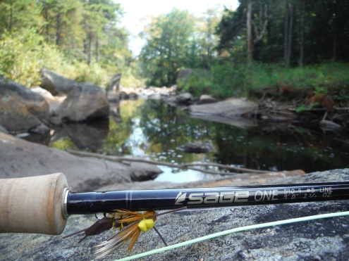 Way back in the Adirondacks on a Brook Trout stream